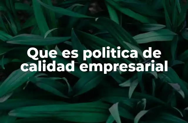 Que es Politica de Calidad Empresarial