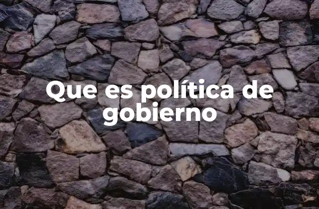 Que es Política de Gobierno