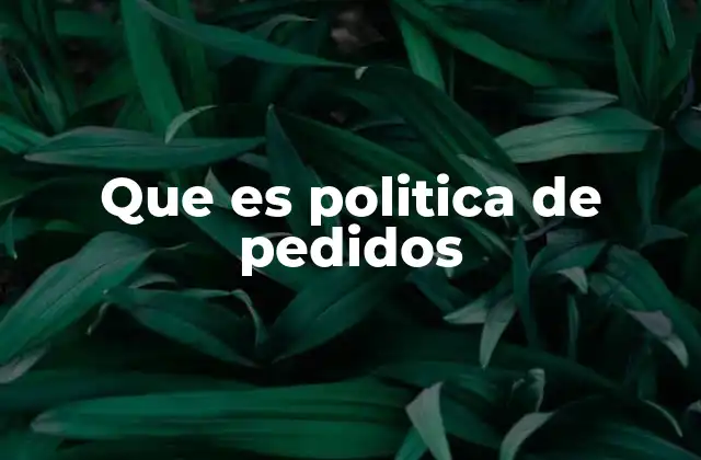 Que es Politica de Pedidos