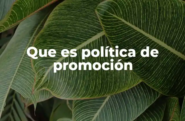 Que es Política de Promoción