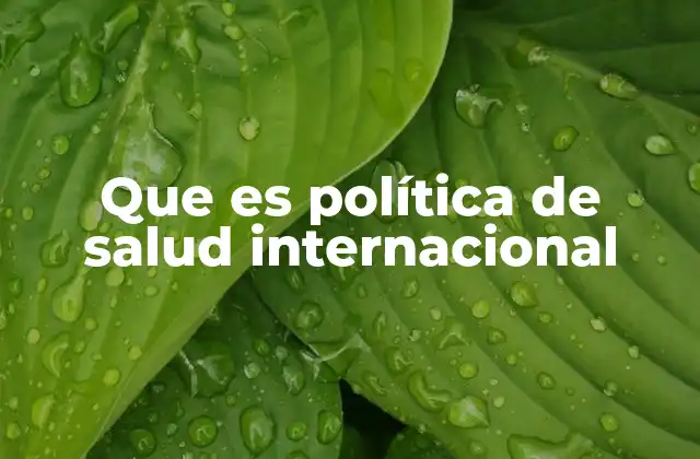 Que es Política de Salud Internacional