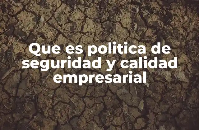 Que es Politica de Seguridad y Calidad Empresarial