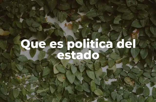 El rol del gobierno en la organización social