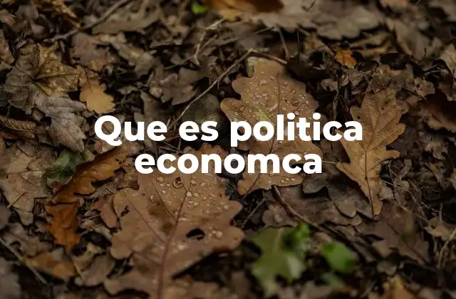 Que es Politica Economca