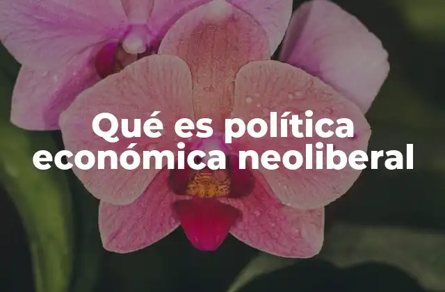Qué es Política Económica Neoliberal