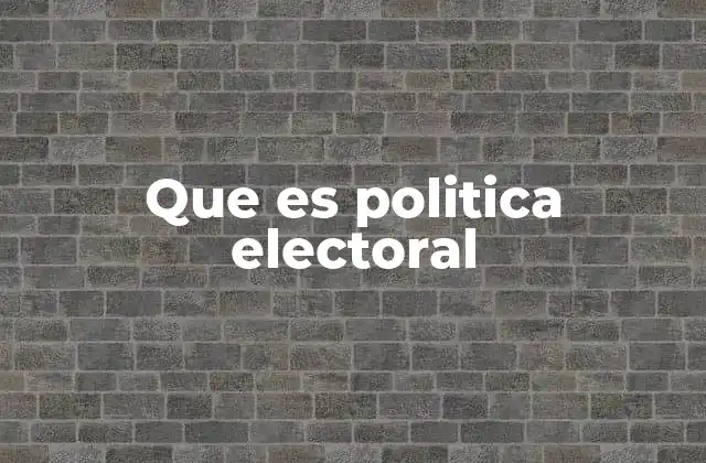 Que es Politica Electoral