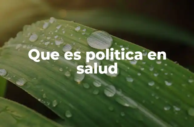 Que es Politica en Salud