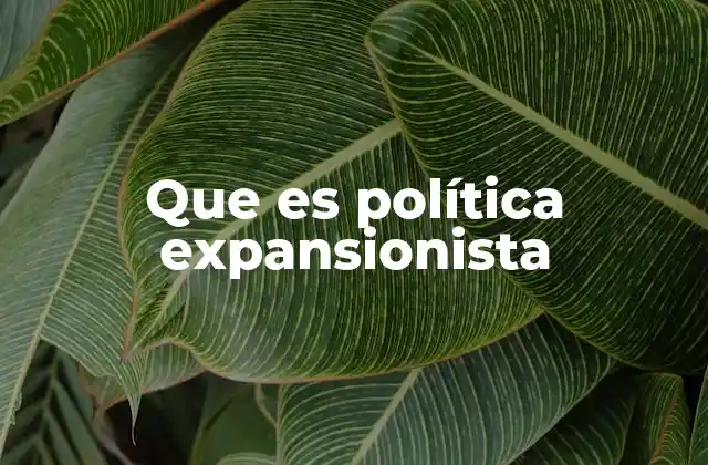 Que es Política Expansionista