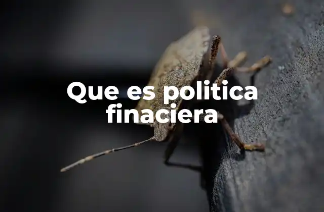 Que es Politica Finaciera