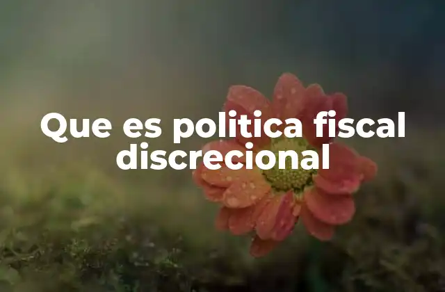Que es Politica Fiscal Discrecional