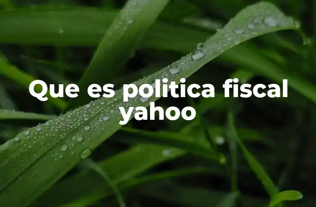 Que es Politica Fiscal Yahoo