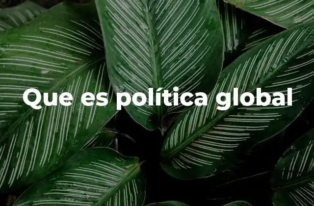 Que es Política Global