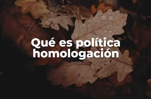 Qué es Política Homologación