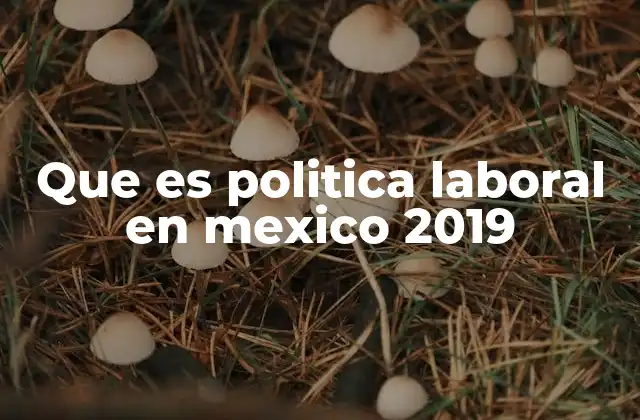 Que es Politica Laboral en Mexico 2019 2 La evolución de las políticas laborales en México