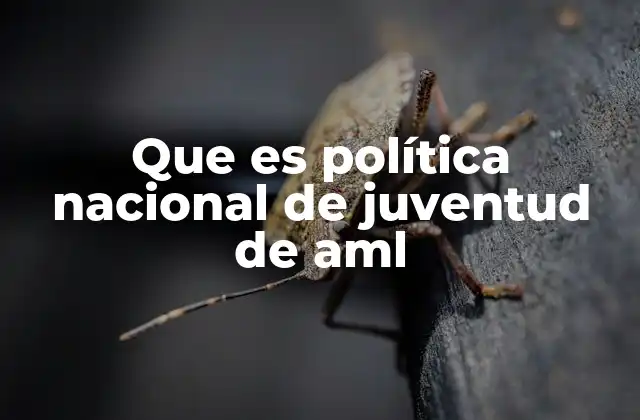 La visión integral de AMLO para las nuevas generaciones