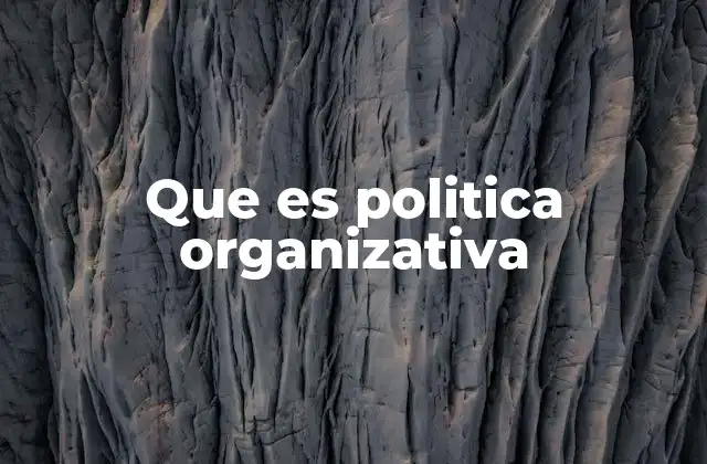 Que es Politica Organizativa