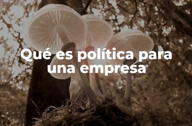 Qué es Política para una Empresa