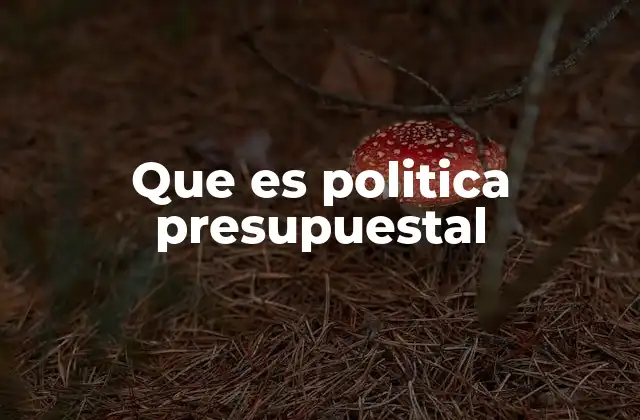 Que es Politica Presupuestal