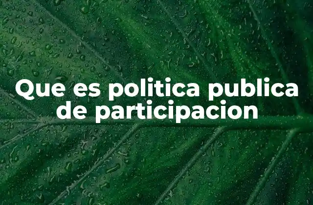 Que es Politica Publica de Participacion