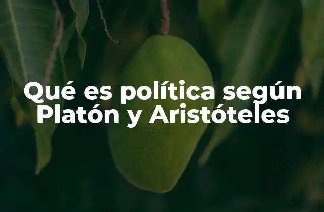 Qué es Política según Platón y Aristóteles