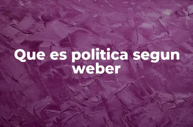 Que es Politica Segun Weber