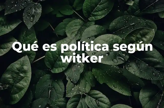 Qué es Política según Witker
