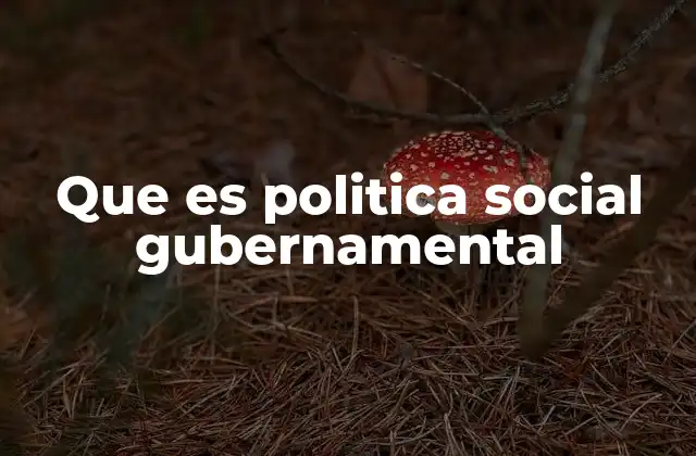 Que es Politica Social Gubernamental