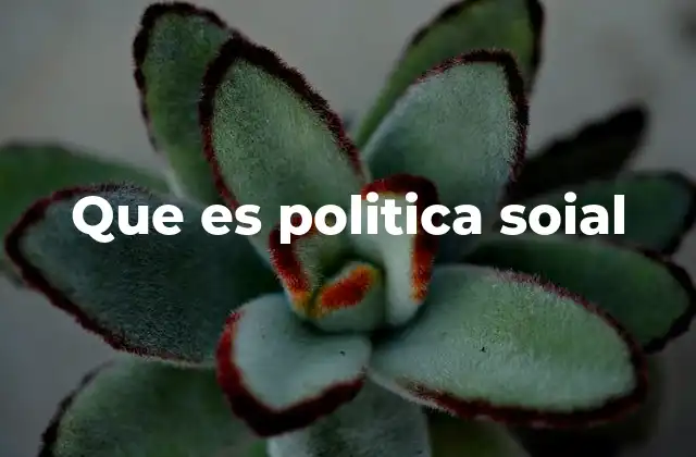 Que es Politica Soial