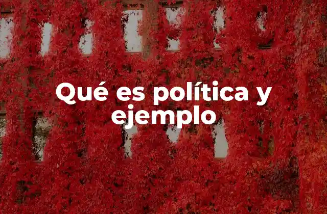Qué es Política y Ejemplo