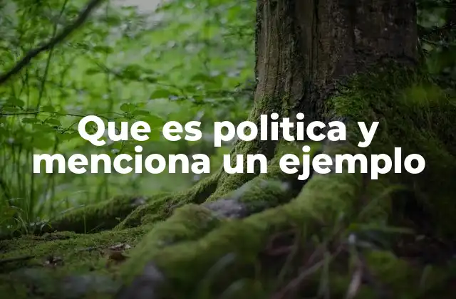 Que es Politica y Menciona un Ejemplo