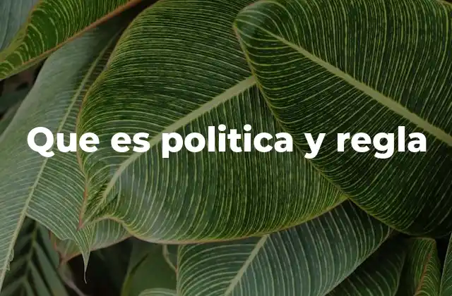 Que es Politica y Regla