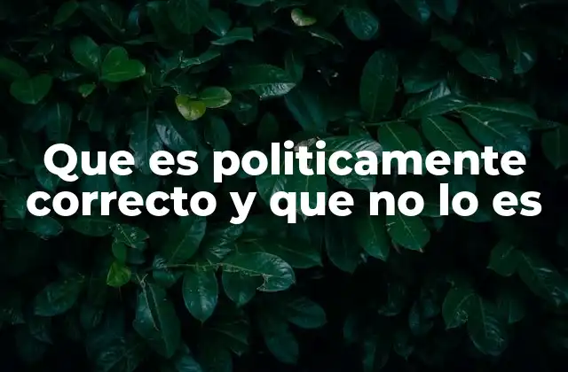 Que es Politicamente Correcto y que No Lo es