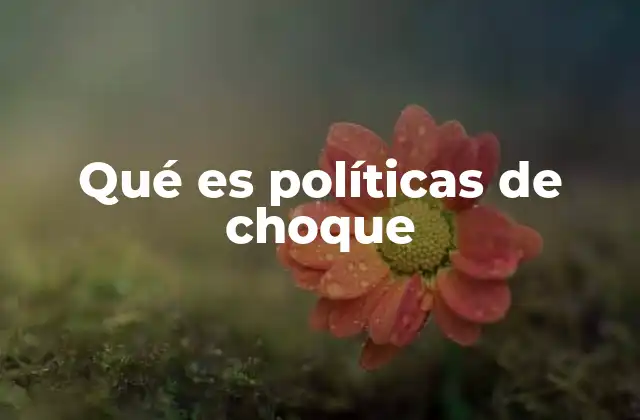 Qué es Políticas de Choque