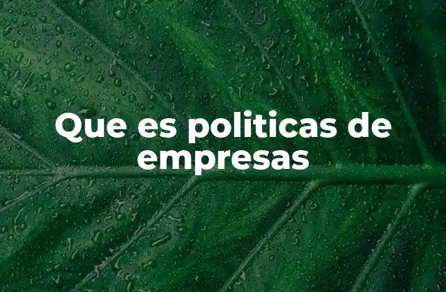 Que es Politicas de Empresas