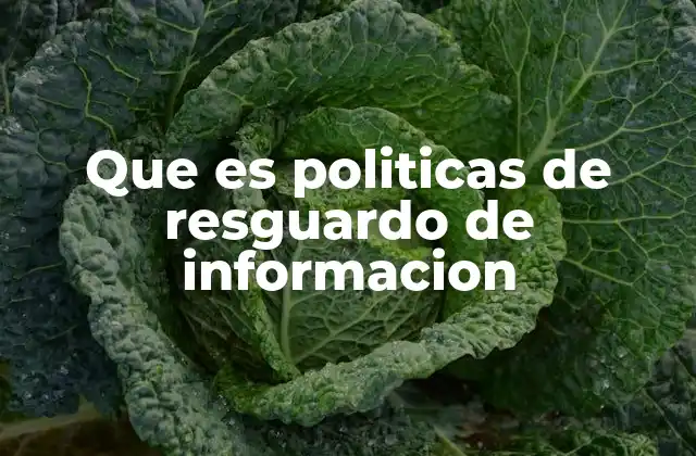 Que es Politicas de Resguardo de Informacion 2 La importancia del manejo seguro de datos en el entorno digital