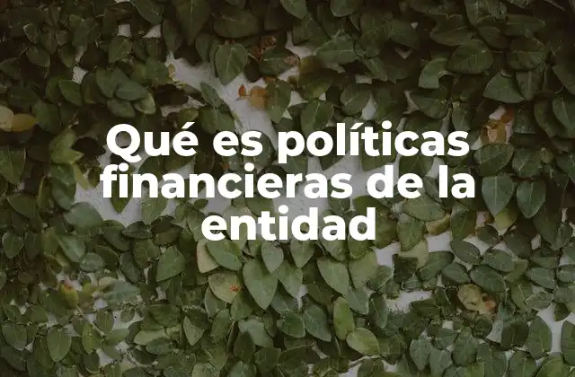 Qué es Políticas Financieras de la Entidad