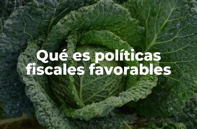 Qué es Políticas Fiscales Favorables