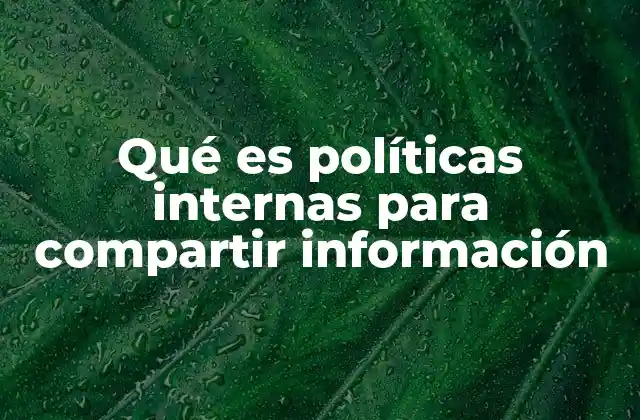 Qué es Políticas Internas para Compartir Información