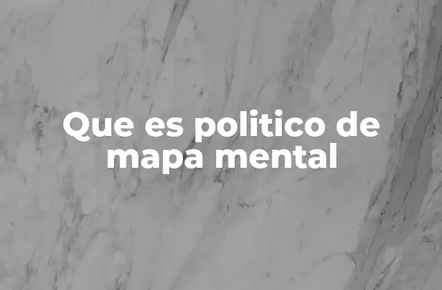 Que es Politico de Mapa Mental