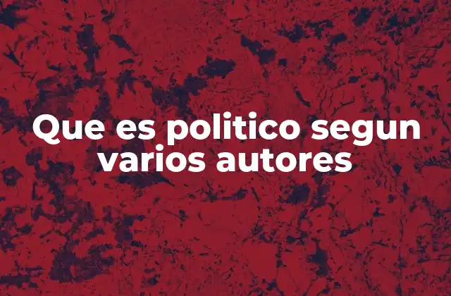 Que es Politico Segun Varios Autores