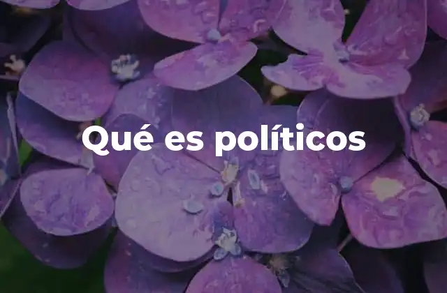 Qué es Políticos