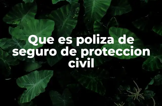 Que es Poliza de Seguro de Proteccion Civil