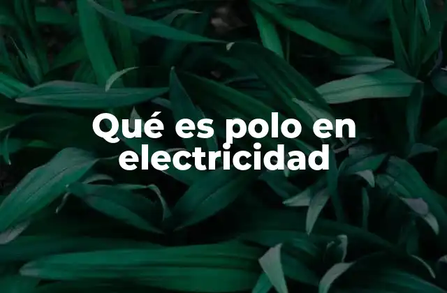 Qué es Polo en Electricidad