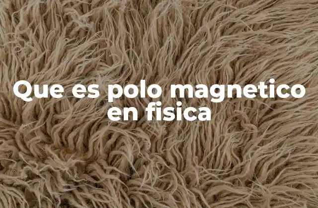 La importancia de los polos magnéticos en el campo magnético