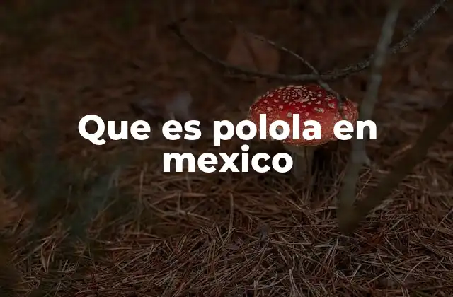 Que es Polola en Mexico