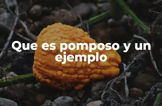 Que es Pomposo y un Ejemplo
