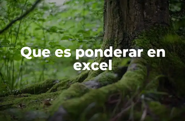Que es Ponderar en Excel