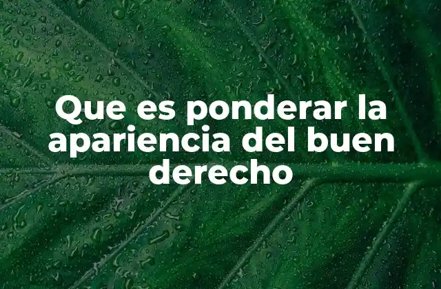 Que es Ponderar la Apariencia Del Buen Derecho