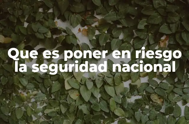 Que es Poner en Riesgo la Seguridad Nacional