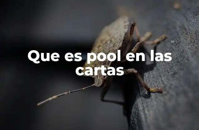 Que es Pool en las Cartas 2 La importancia del pool en la mecánica de juego
